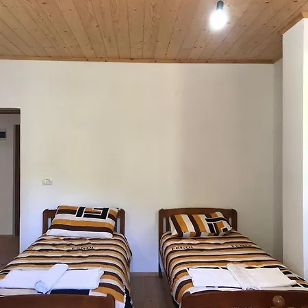 Elvis Blini Thethi Guest house