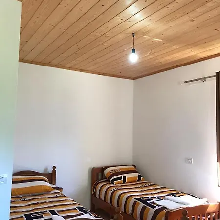 Elvis Blini Thethi Guest house